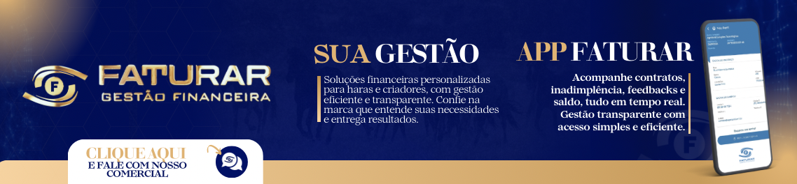 Parceria Faturar Gestçao Financeira